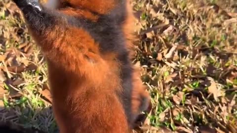 Enjoying the sun this morning?