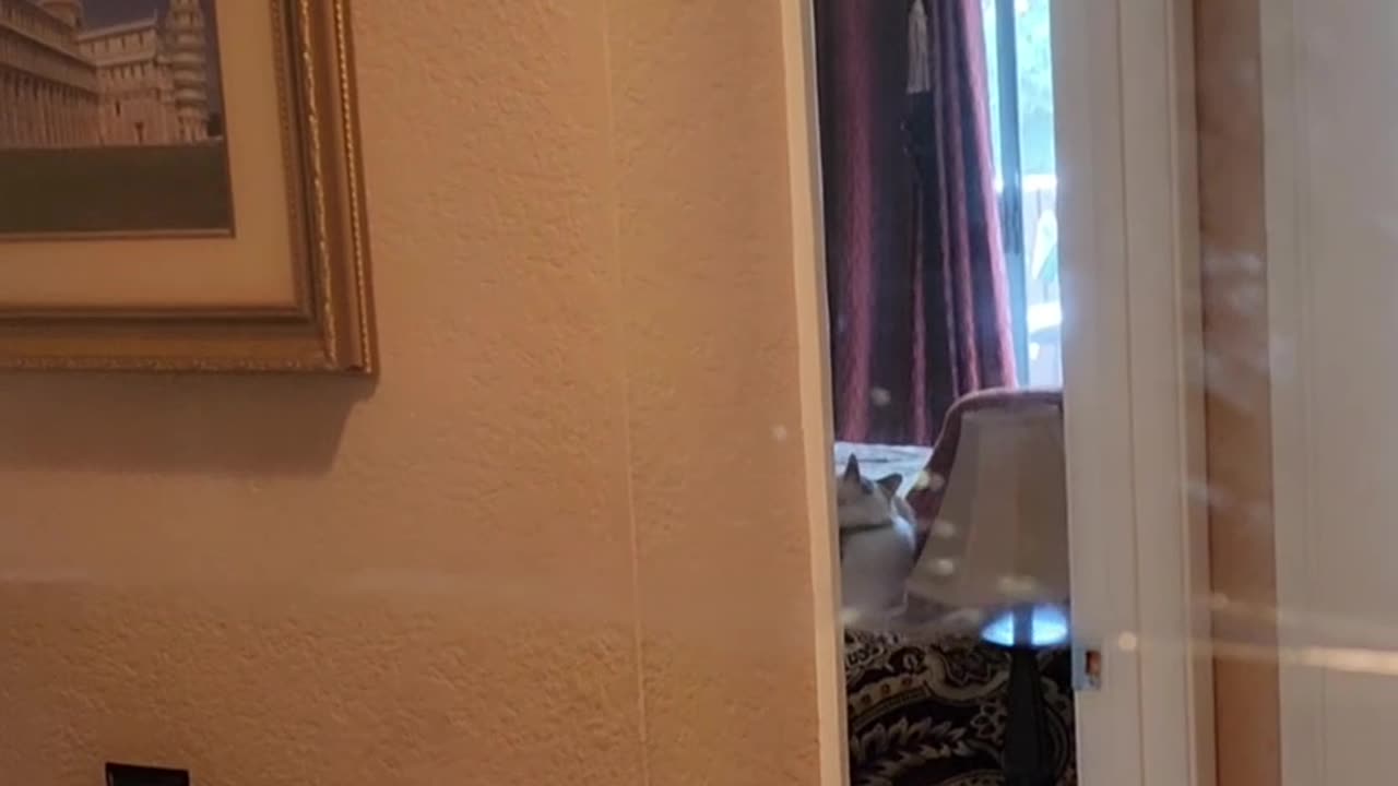 Plastic Wrap Prank
