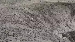 More from Tuapse 👀🚀