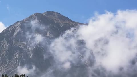 Daily Horoscope | Capricorn 🌟