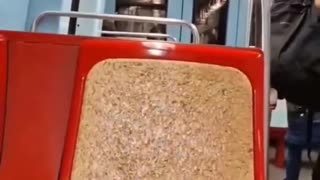 This is Lisbon. We can't get used to this