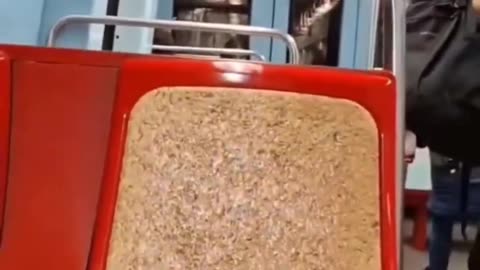 This is Lisbon. We can't get used to this