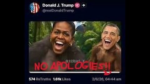 No Apologies: Obamas Depicted as MONKEYS!
