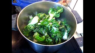 Cooking - baby cabbage