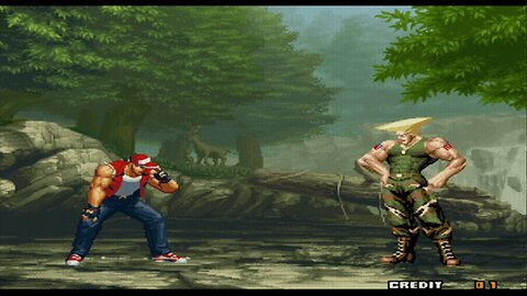 Terry vs Guile