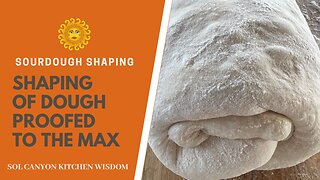 Shaping High-Hydration Sourdough with Deep Fermentation