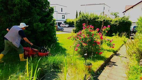 Lawn Mowing Time Lapse 🇩🇪 (2024-06)