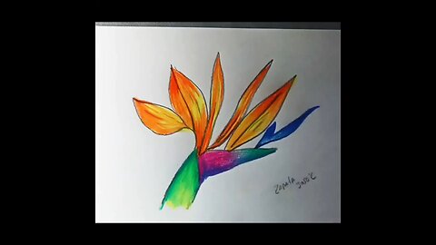 How to draw a flower