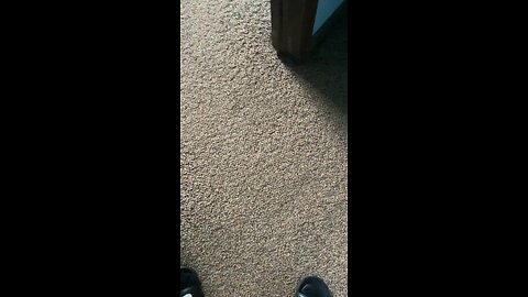 Something to say