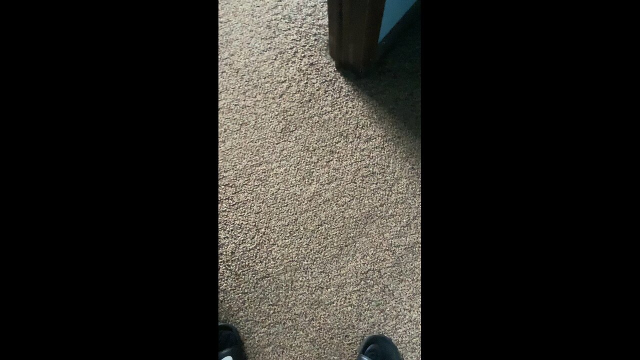 Something to say