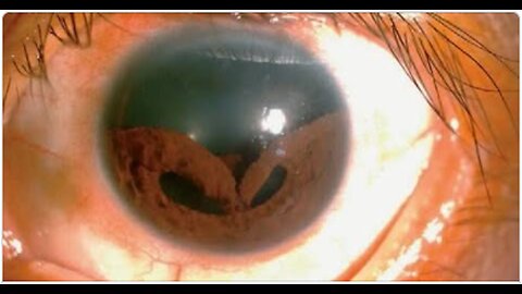 When YOU SEE These SIGNS You KNOW The END Is HERE (2026) - KJ's What Happened?