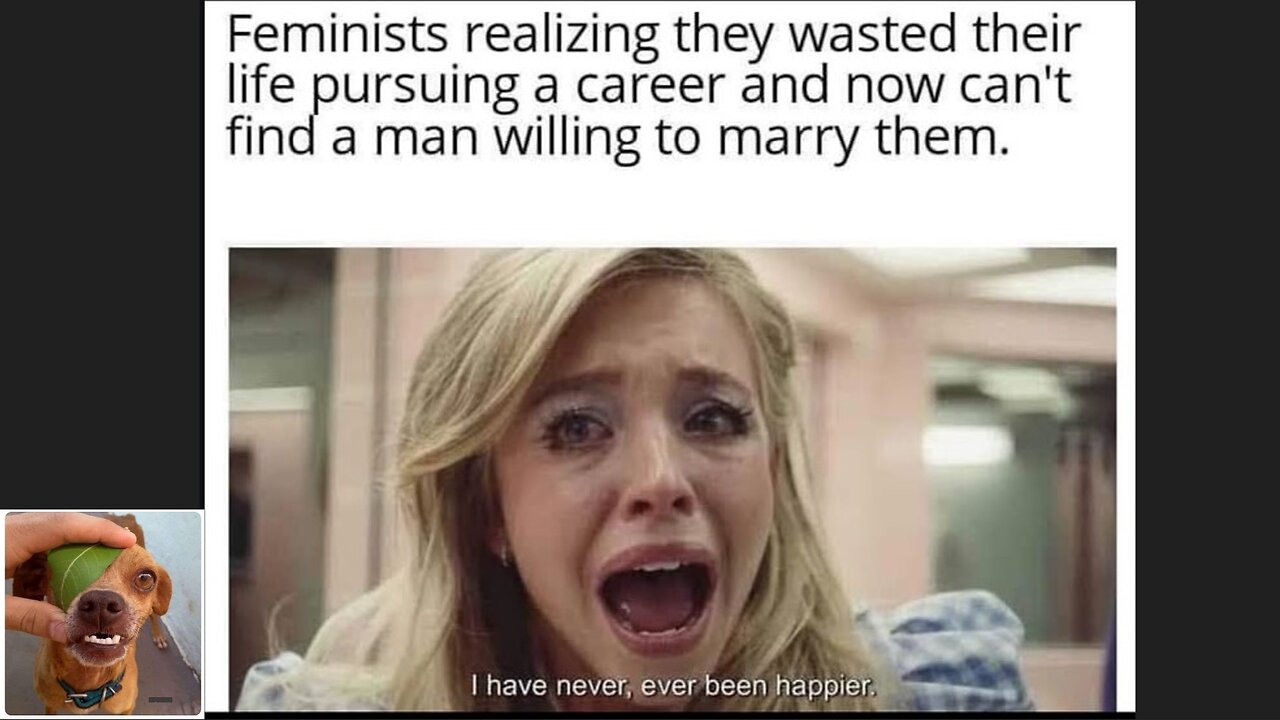 Memes That Will 99.0429% Make You Laugh. (e653)