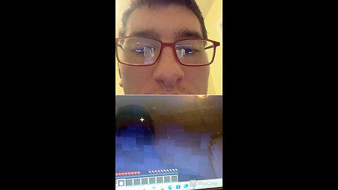 Playing Minecraft