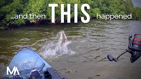 Catching a HUGE Snook on my way back to the Kayak Launch!!!