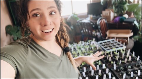 Seedling Madness! Up-potting & Organizing the Seedling Tent | March Garden Series: Day 6/15