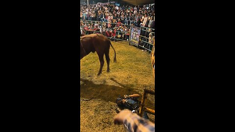 Bull Gone Wild: Shocking Moment a Bull Attacks the Crowd!"