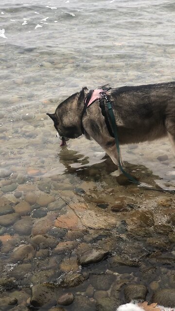 Saturday November 8, If you Think You Are standing strong, be careful