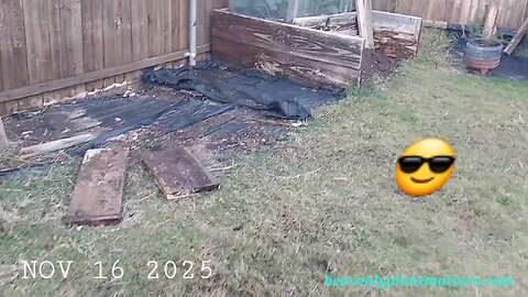 Greenhouse Updates, Sweet Potato Harvest!