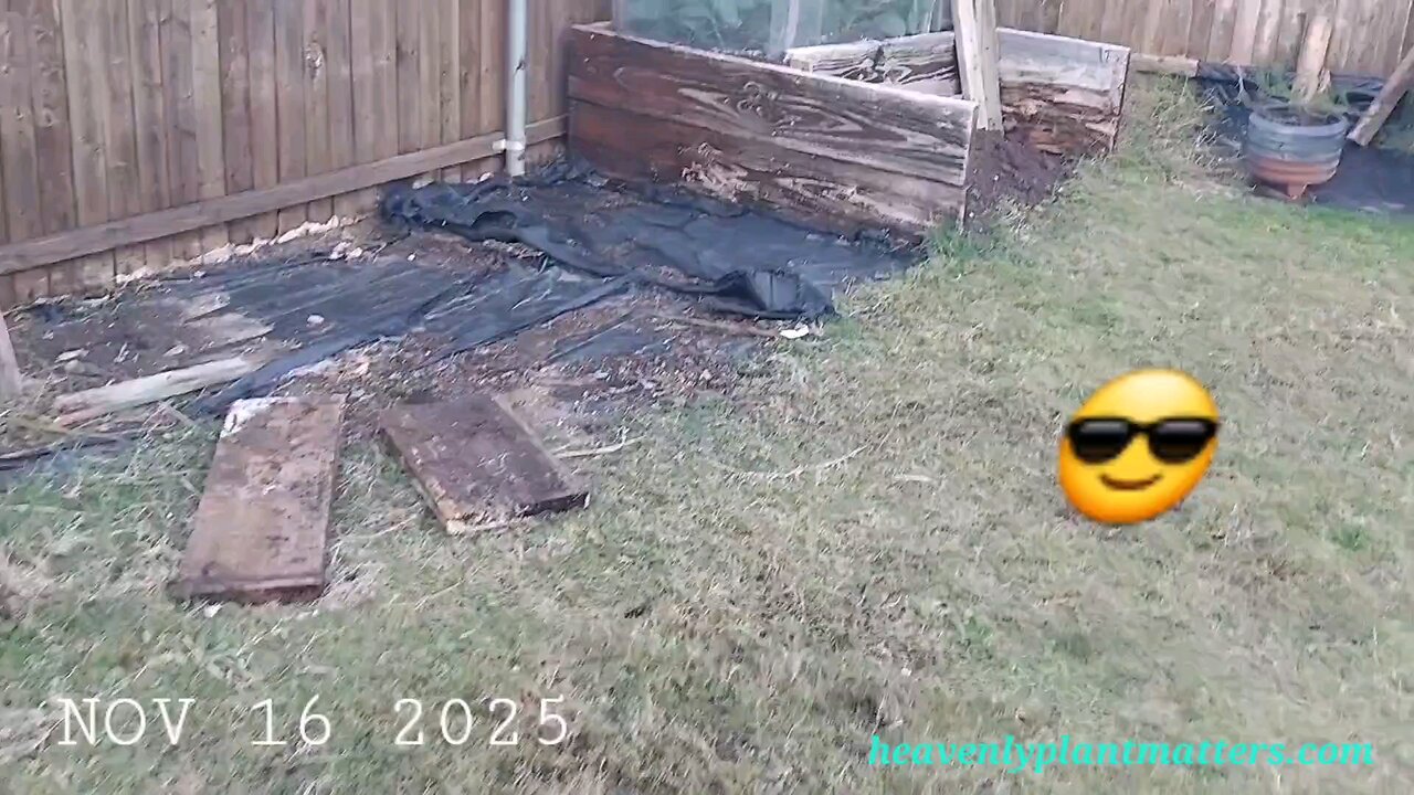 Greenhouse Updates, Sweet Potato Harvest!