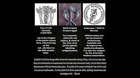 DEMONIC KUNDALINI LIGHT BODIES AWAKENING INSIDE THEIR WILLING HOSTS