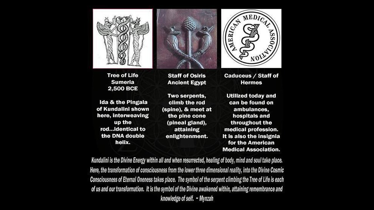 DEMONIC KUNDALINI LIGHT BODIES AWAKENING INSIDE THEIR WILLING HOSTS