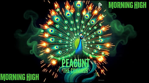 MORNING HIGH 🌞 THURSDAY☁️☁️🚬🤘👀🦚