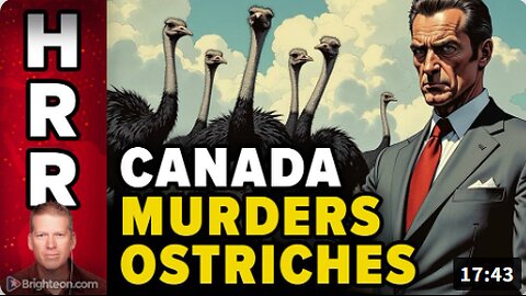 Canada MURDERS the OSTRICHES... and you're next