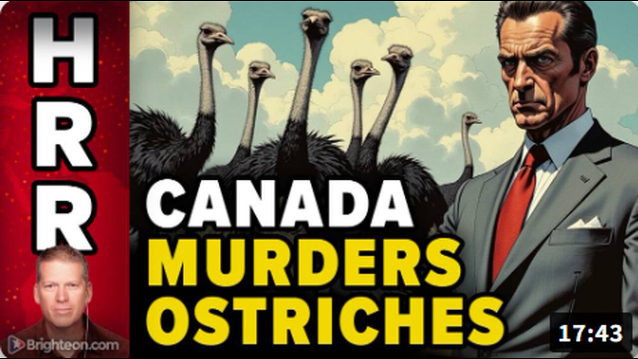 Canada MURDERS the OSTRICHES... and you're next