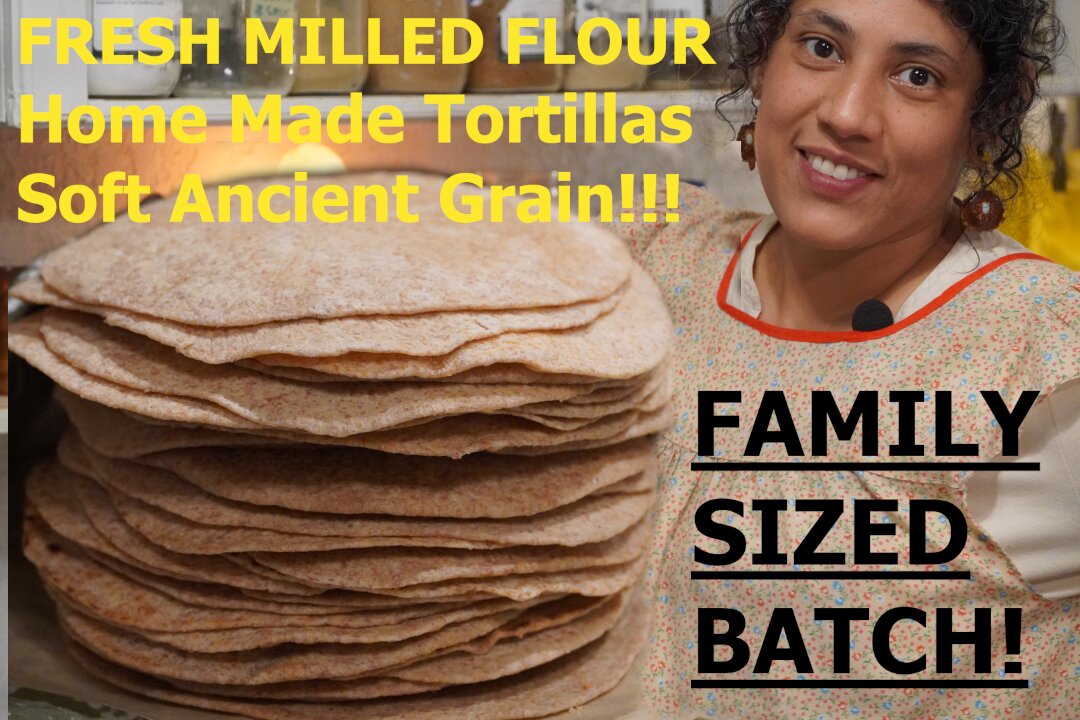 đŸ‘€Homemade Flour Tortillas! Fresh Milled Ancient Grain! Family Sized Recipe! #makeamericahealthyagain