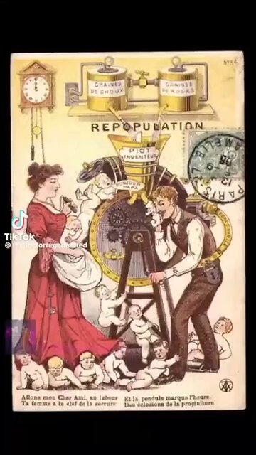 Incubator Babies 👶🏼 🥬 Cabbage Patch Kids - The Great Reset!