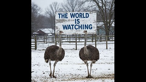Edgewood, B.C.: It’s Not About the Owners — It’s About the Ostriches