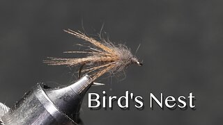 Bird’s Nest: a Cal Bird wet fly pattern
