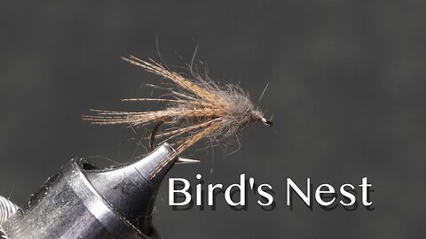 Bird’s Nest: a Cal Bird wet fly pattern