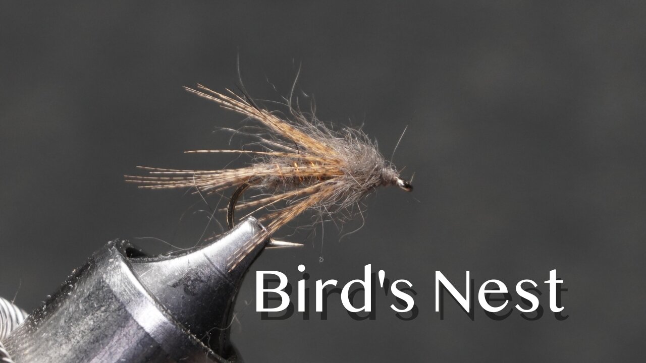 Bird’s Nest: a Cal Bird wet fly pattern