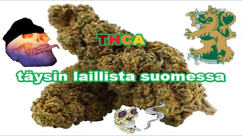 Laillista hatsia suomessa