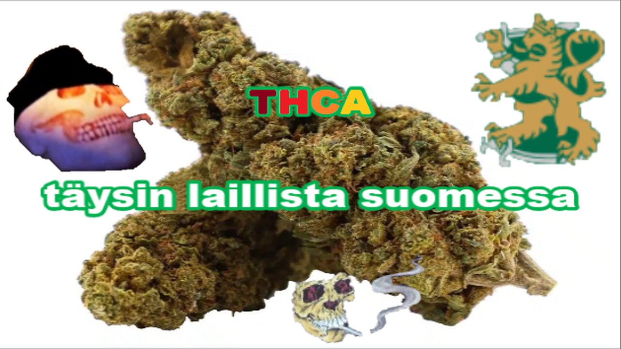 Laillista hatsia suomessa