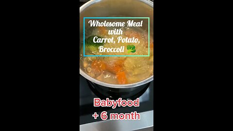 6 months plus kids Wholesome Meal|Healthy diet