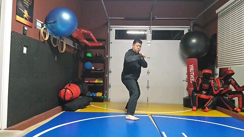 WTD 2 Step Kick Combination 46