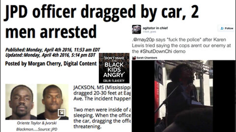 Colin Flaherty: Could All That Have Something To Do With The Black Hostility