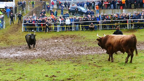 Svemirac od Kokana vs Kukan od Koalicija Vojnić Dar Mar 2025