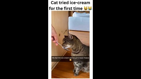 When curiosity meets a cold surprise! 🍦😺 Watch as my cat experiences ice cream for the first time!