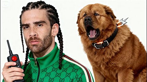 Shock My Dog I Can't Stop [EeTDf6Anakg]