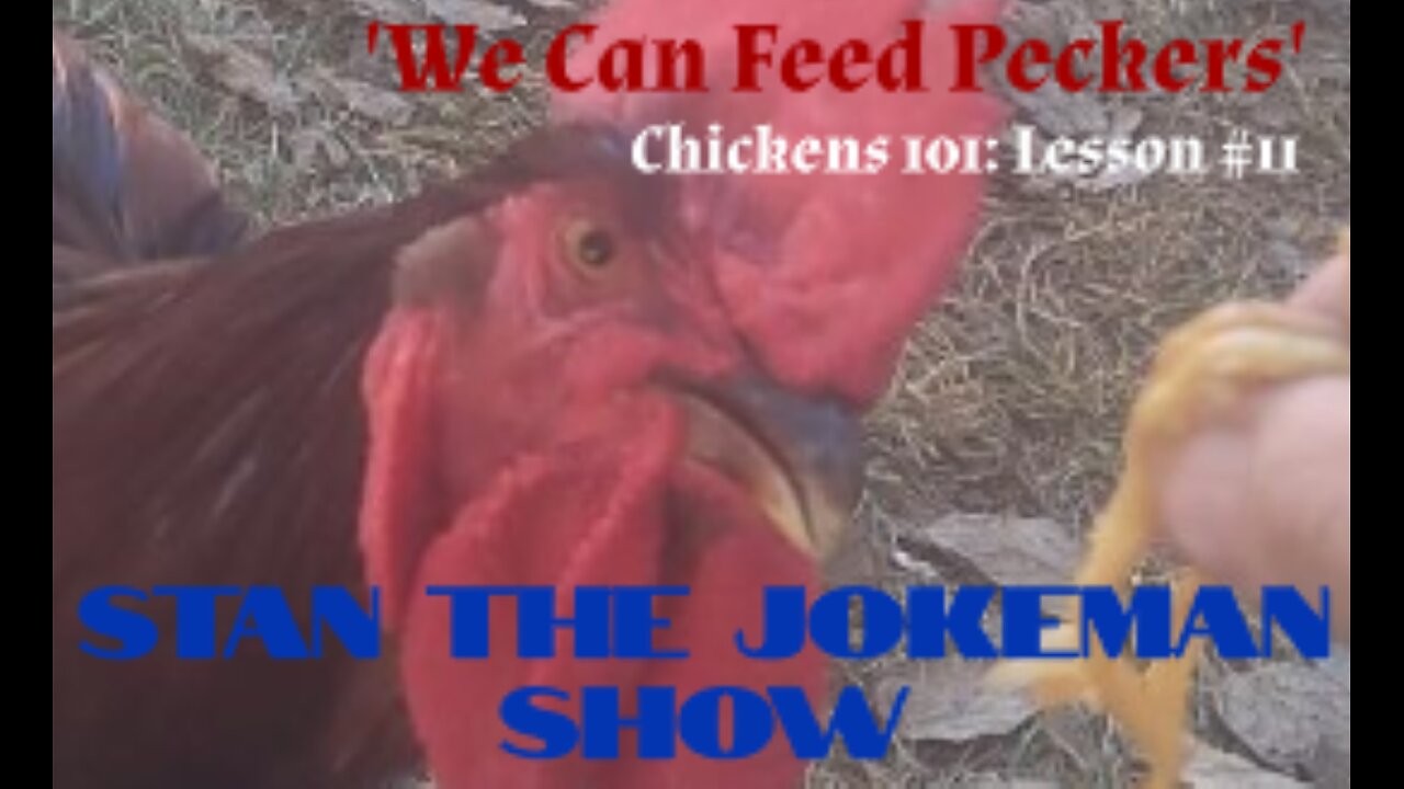 Chickens 101: Lesson #11 We Can Feed Peckers w/lyrics