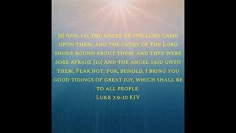 When the cats see something cute 🥰🥰