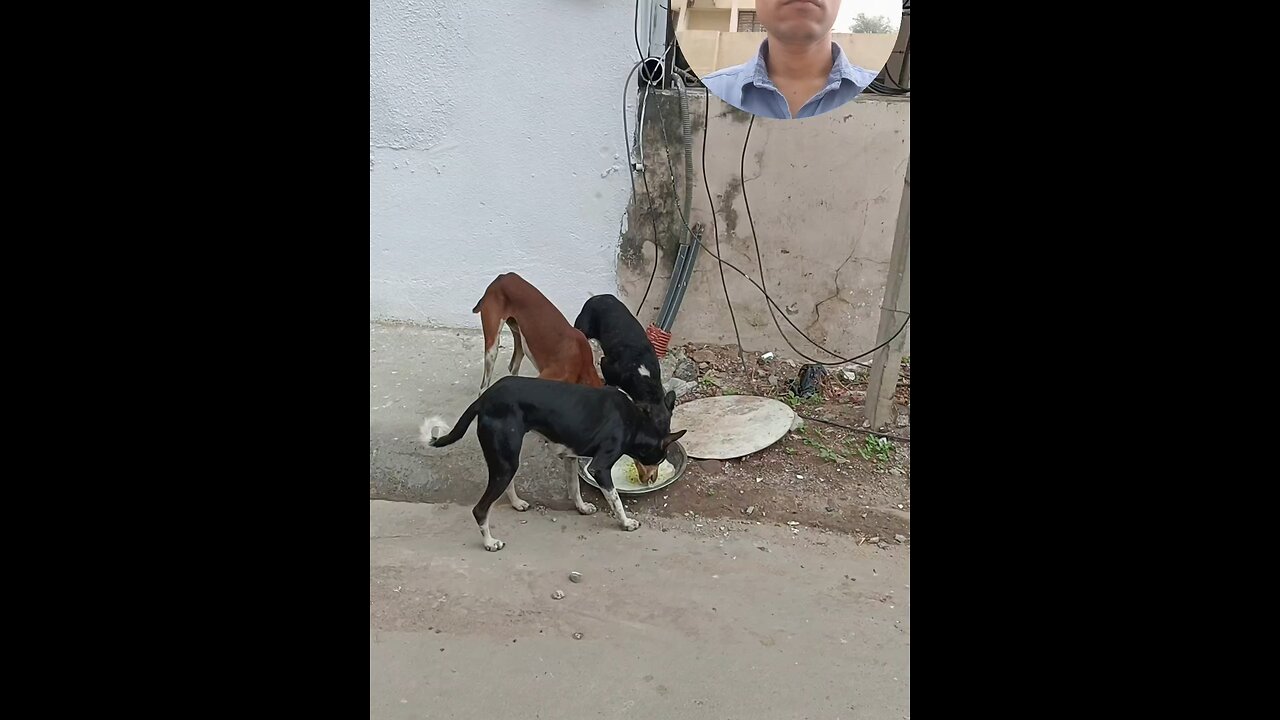 jivdaya mehsana Gujarat