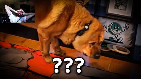 People are freaking out now..