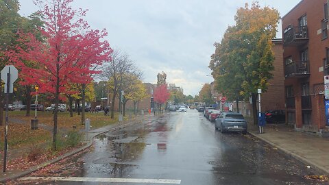 La REALIDAD de Montreal en un día de lluvia: Tráfico, calles mojadas y el barrio indio.