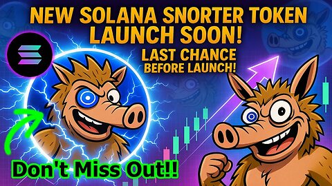New Snorter Token Meme Coin on Solana Launching Soon!! Last Days Before Launch!!