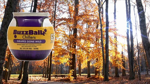 I'm Back!!! BuzzBallz Grape Gone Wild