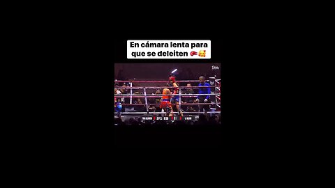 Pelea Valdiri vs Yina Calderon